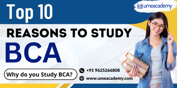 Top 10 Reasons to Study BCA | Why Do You Study BCA?