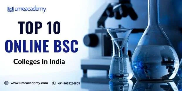 Top 10 Online BSc Colleges List In India