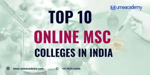 Top 10 Online MSc Colleges In India 2024