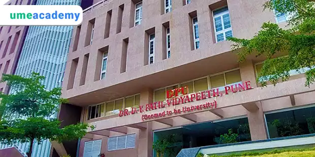 DY Patil University Online