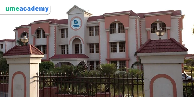 Uttaranchal University Online MBA